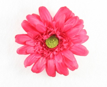 Shocking Pink Silk Gerbera Daisy Hair Clip