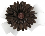 White Bow Brown Gerbera Daisy