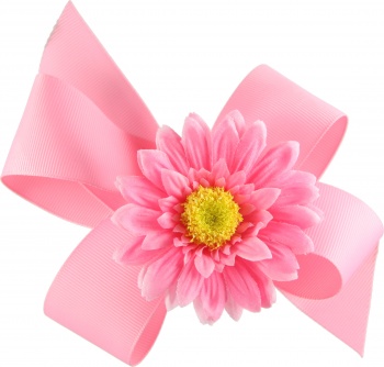 Pink Boutique Bow with Pink Daisy